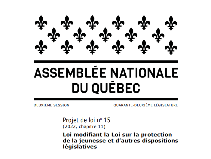 Modifications à la LPJ et confidentialité : des outils de soutien à la pratique disponibles en ligne - Mars 2023